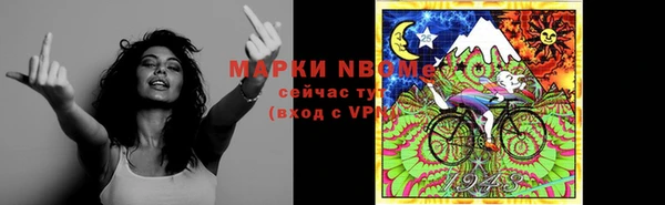 ГАЛЛЮЦИНОГЕННЫЕ ГРИБЫ Белокуриха