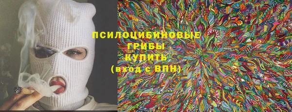 ГАЛЛЮЦИНОГЕННЫЕ ГРИБЫ Белокуриха
