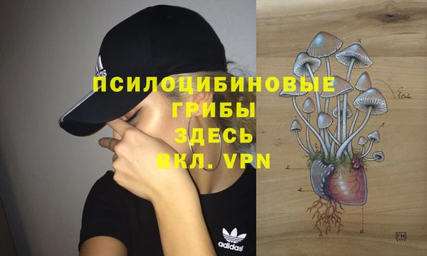 ГАЛЛЮЦИНОГЕННЫЕ ГРИБЫ Белокуриха